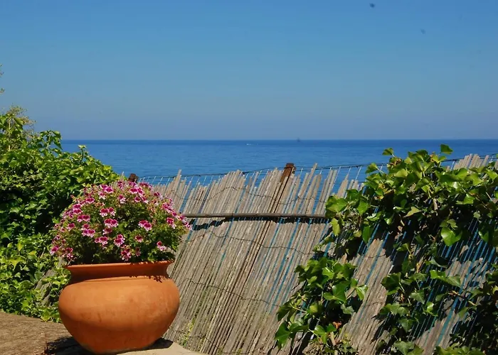 Hébergement de vacances Four Seasons Summer *